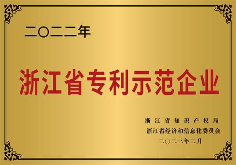 2022浙江省专利示范企业---DKEQ--ble-tildelt-Zhengjiang-provinsen-Patent-Demonstrasjons-Foretak